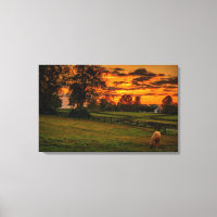 Einzelpferd bei Sonnenuntergang