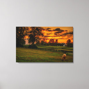 Einzelpferd bei Sonnenuntergang Leinwanddruck