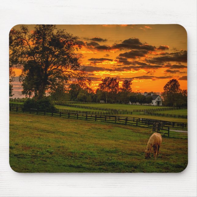 Einzelpferd bei Sonnenuntergang Mousepad (Vorne)