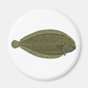 Einzig Magnet