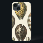 Einzigartig geformte Muscheln iPhone 13 Hülle<br><div class="desc">Entdecken Sie den warmen Sand und die versteckten Schätze! Dieses Gemälde von Kobeit fängt das schöne Wasserleben an,  das an Land gefunden wurde. Kobeit fängt die schöne Auswahl an sepiatfarbenen Muscheln in einem Vintagen Ton ein. Holen Sie sich heute Ihre schöne Meereskunst auf Ihrem nächsten Zazzle-Produkt.</div>