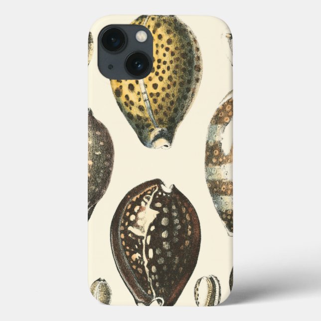 Einzigartig geformte Muscheln Case-Mate iPhone Hülle (Rückseite)