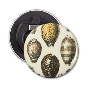 Einzigartig geformte Muscheln Flaschenöffner