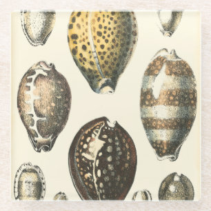 Einzigartig geformte Muscheln Glasuntersetzer