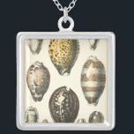 Einzigartig geformte Muscheln Versilberte Kette<br><div class="desc">Entdecken Sie den warmen Sand und die versteckten Schätze! Dieses Gemälde von Kobeit fängt das schöne Wasserleben an,  das an Land gefunden wurde. Kobeit fängt die schöne Auswahl an sepiatfarbenen Muscheln in einem Vintagen Ton ein. Holen Sie sich heute Ihre schöne Meereskunst auf Ihrem nächsten Zazzle-Produkt.</div>