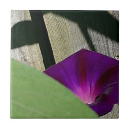 Einzigartige dekorative mit Blumenfliese Fliese