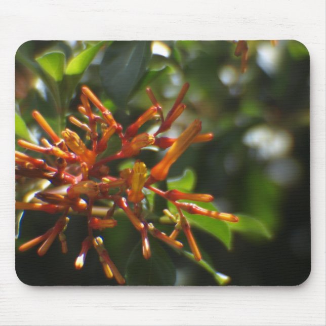 Einzigartige orangefarbene Pflanze auf einer Mouse Mousepad (Vorne)