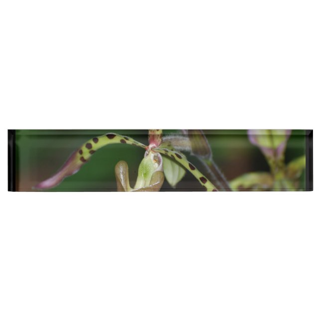 Einzigartige Orchidee Namensplakette (Vorderseite)
