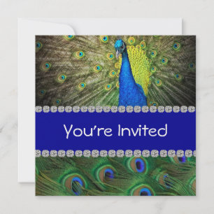 EINZIGARTIGE PEACOCK-INVITATION MIT FEATHERS & BLI EINLADUNG