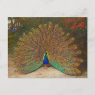 Einzigartige Pfauen-Postkarte Postkarte
