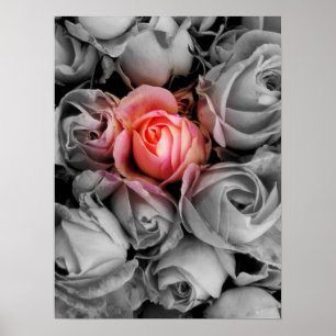 Einzigartige Schönheit Poster