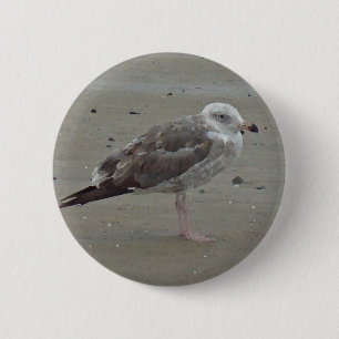 Einzigartige Seagull steht allein auf dem Sand Oce Button