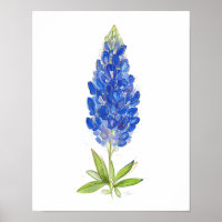 Einzigartige Wasserfarbe Texas Bluebonnet Kunst