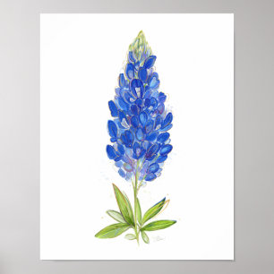 Einzigartige Wasserfarbe Texas Bluebonnet Kunst Poster