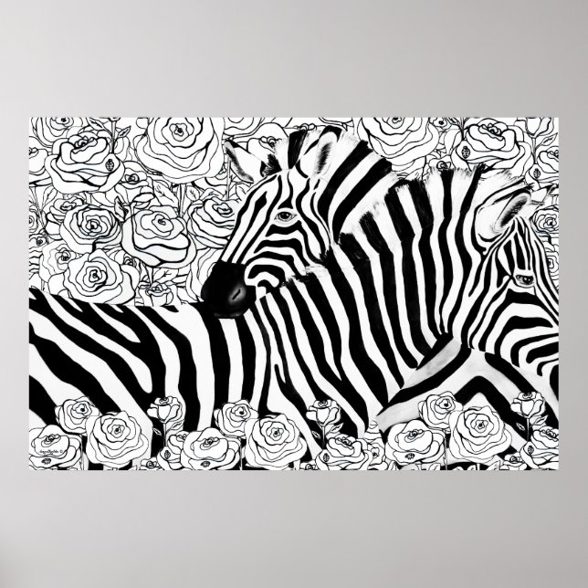 Einzigartige Zebras Poster (Vorne)