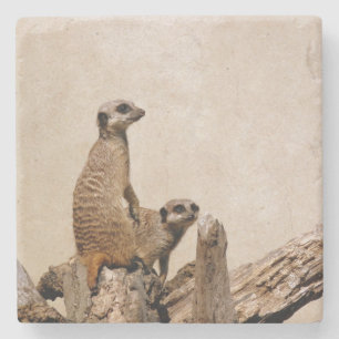 Einzigartiger Meerkat-Untersetzer Steinuntersetzer