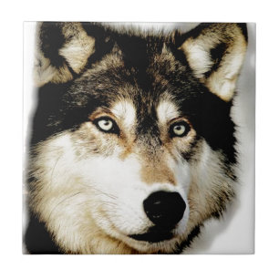Einzigartiger Motivierend Wolf Fliese