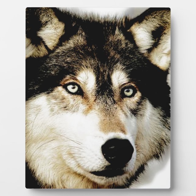 Einzigartiger Motivierend Wolf Fotoplatte (Vorderseite)