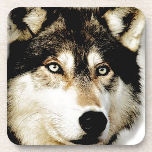 Einzigartiger Motivierend Wolf Getränkeuntersetzer