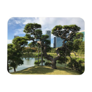 Einzigartiger Pinienbaum Magnet