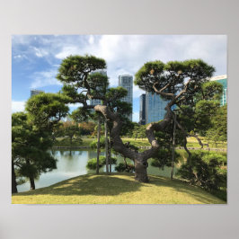 Einzigartiger Pinienbaum Poster