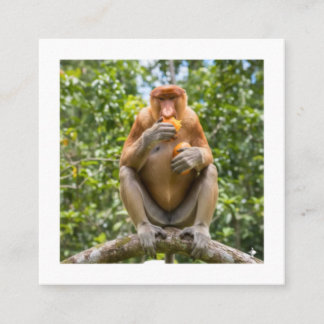 Einzigartiger Proboscis-Affe Borneo-Wildlife-Aufkl Quadratische Visitenkarte