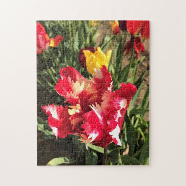 Einzigartiger Rot-Weiß-Tulip Puzzle (Vertikal)
