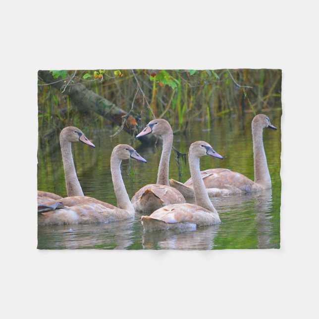Einzigartiger Swan Fleecedecke (Vorderseite (Horizontal))