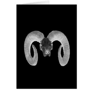 einzigartiger und handgefertigter Ziegenschädel