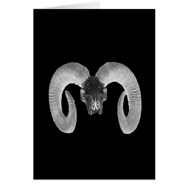 einzigartiger und handgefertigter Ziegenschädel (Vorne)