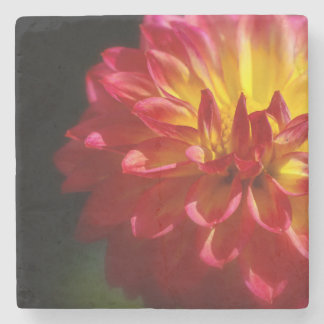 Einzigartiger Untersetzer für Blume