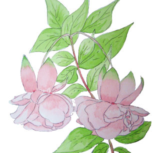 einzigartiges Blumenbild hübscher rosa Blume Tasse