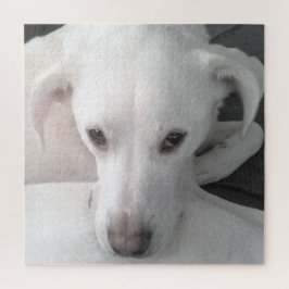 Einzigartiges Foto von White Labrador Retriever Mi Puzzle