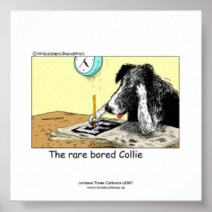 Einzigartiges Funny Border Collie Poster