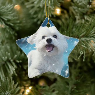 Einzigartiges maltesisches Weihnachtsgeschenk für Keramik Ornament