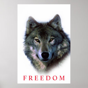 Einzigartiges Motivierend Freedom Wolf Door Poster