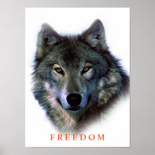 Einzigartiges Motivierend Freedom Wolf Poster