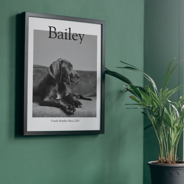 Einzigartiges Portrait Magazin Custom Foto Poster (Von Creator hochgeladen)