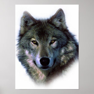 Einzigartiges Wolf Eyes Artwork Freedom Poster