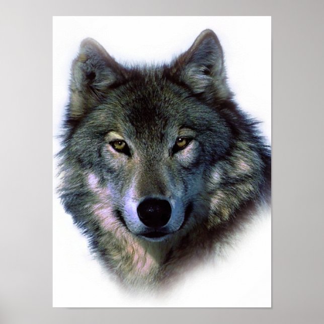 Einzigartiges Wolf Eyes Artwork Freedom Poster (Vorne)