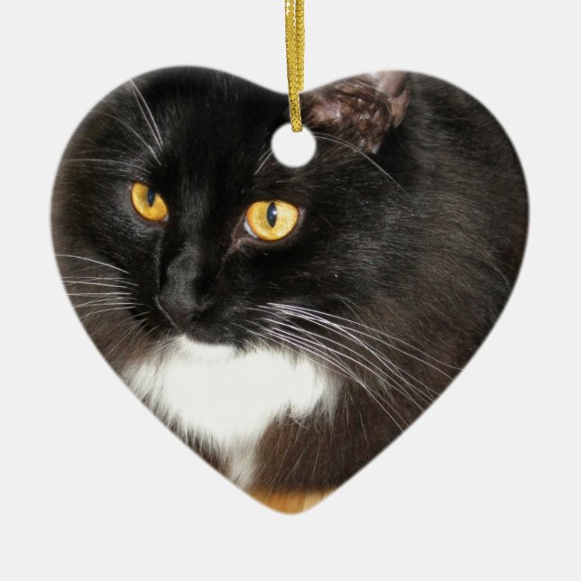 Einzige Stern-Katze, die auf einer Tabelle, Keramik Ornament (Vorne)