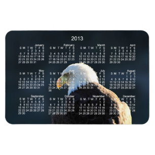 Einziger Weißkopfseeadler; Kalender 2013 Magnet