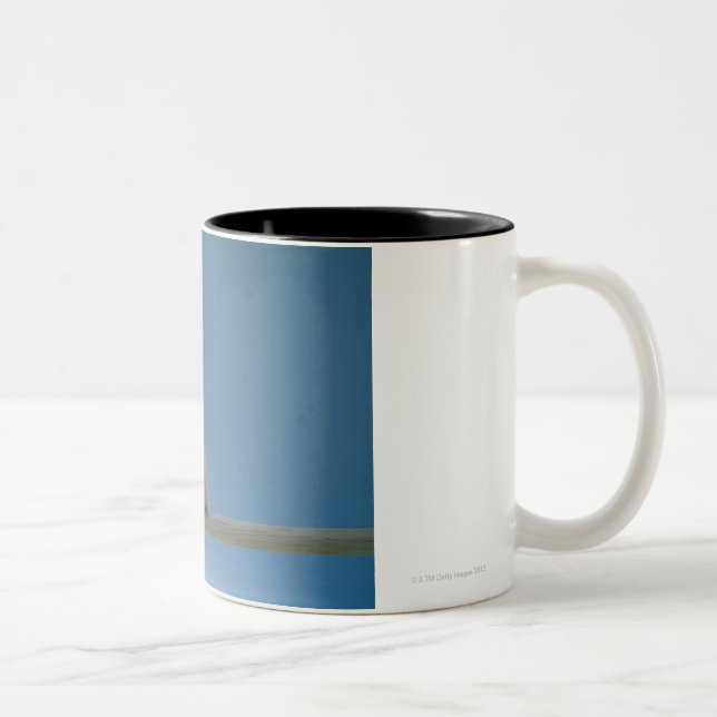 Einziges Baby-Haustier-Huhn, das auf einer Stange Zweifarbige Tasse (Rechts)