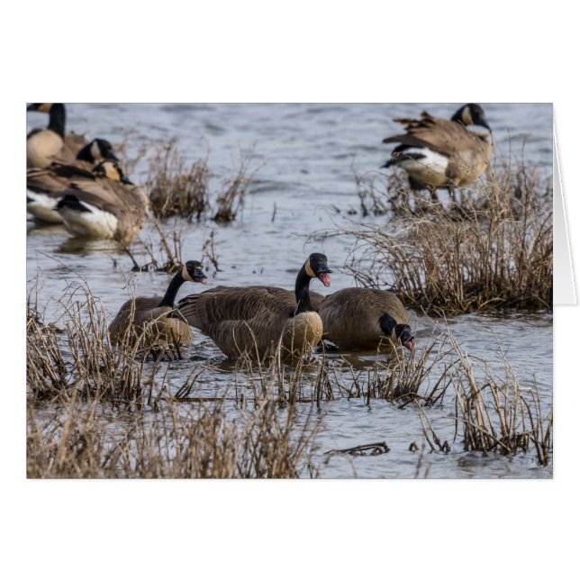 Einzug (Vorderseite (Horizontal))