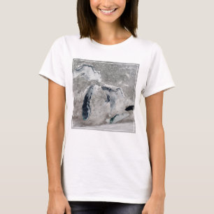 Eis auf den Großen Seen, Staaten. T-Shirt