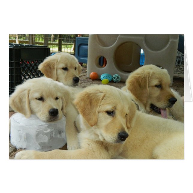 Eis-Block-Karte (Vorderseite (Horizontal))