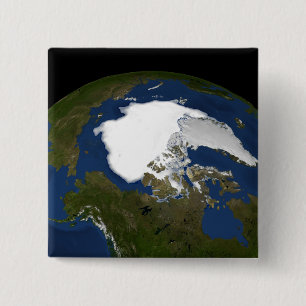 Eis im arktischen Meer 2005 Button