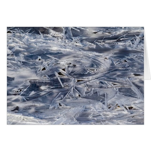 Eis Nicht EIS (Vorderseite (Horizontal))