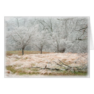 Eis-Sturm ländliches Tennessee - Fotografie