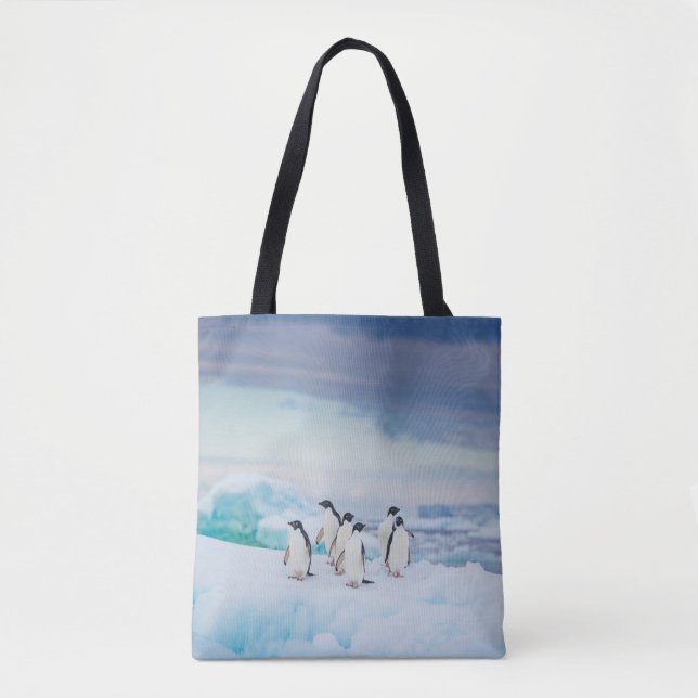 Eis und Schnee | Adelie Penguins Antarktis (Vorderseite)